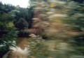 Za sk��potu kol vlaku kolem Slune�n� z�toky